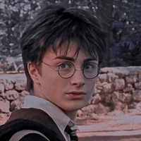 Harry Potter⚡