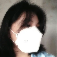 Pinpa ( tác giả)