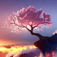 nhân vật phụ