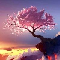 nhân vật phụ