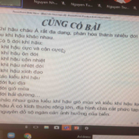 Mọi người
