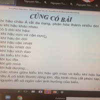 Mọi người