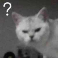 Nhân vật phụ nhưng không phụ ;-;