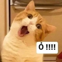 Hãy đoán đây là ai xem nào
