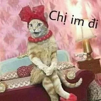 Tôy đây