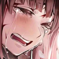 Y/n