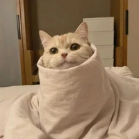 Ad / ng ép viết