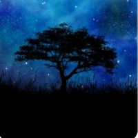 Cân mọi loại nv phụ