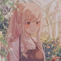 y/n
