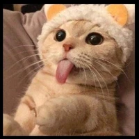 Zinks " Tác giẻ "