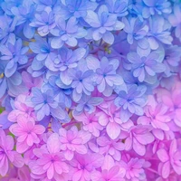 Tất cả mọi người