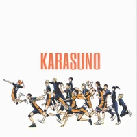 Karasuno 