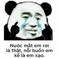 côn đồ 1