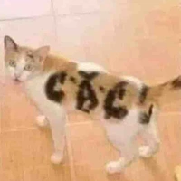 TRMO