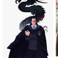 Monkey D Dragon