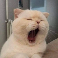 Tác giả ( vui vẻ lắm )