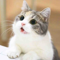 Shu - hệ thống 342