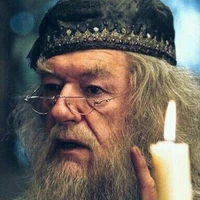  Albus Percival Wulfric Brian Dumbledore