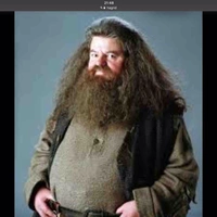 Hagrid