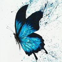 Hồ điệp nước