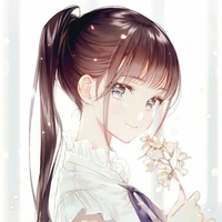 Shibira Nokora__Liso_No.2