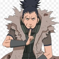 Nara Shikaku