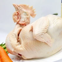 🐔