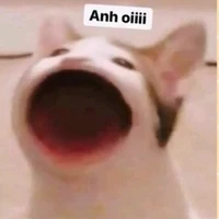 nhỏ tác giả =)))