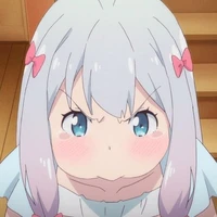 Y/N