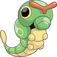 Caterpie
