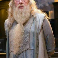 Dumbledora 