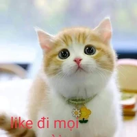 Tác giả Ma