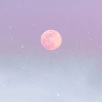 Tác Giả (Nguyệt Y)