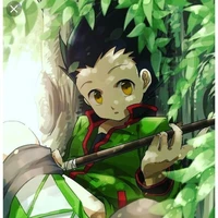 Gon Freecss