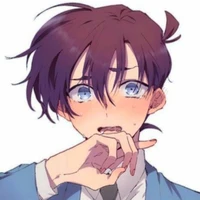 Kudo Shinichi(conan)