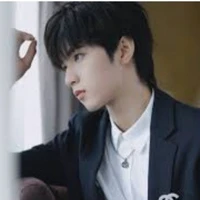 Lưu Diệu Văn(anh)