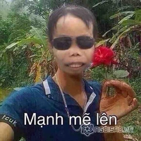 Tác giả cute pho mai que 