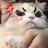 ng quyền lực nhất truyện
