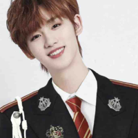 Đinh Trình Hâm