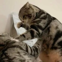 Tác giả cục súc