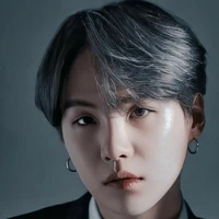 Min Yoongi (a trai y/n)