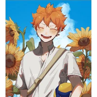 Hinata Shoyo