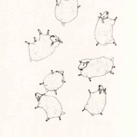 Cừu (｡◕ฺˇε ˇ◕ฺ｡）