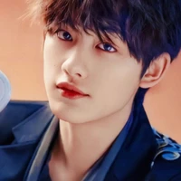 Đinh Trình Hâm
