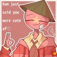 Vietnam(nam nam)