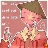 Vietnam(nam nam)