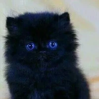 hệ thống ( kalick)