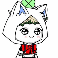 Bạn (Y/N)
