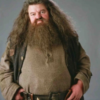 Rubeus Hagrid