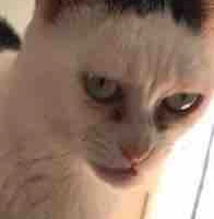 Cô géi xênk đệp lày là t/g đêy 